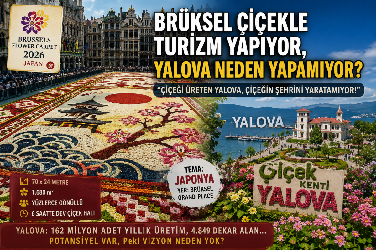 ÇİÇEĞİ YALOVA ÜRETİYOR, DÜNYAYA BRÜKSEL SERGİLİYOR!